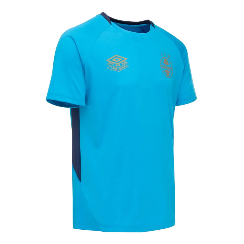 Camisa Grêmio Treino 2025/26 - Torcedor
