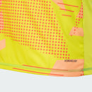 Camisa Flamengo Goleiro 2025/26 - Torcedor