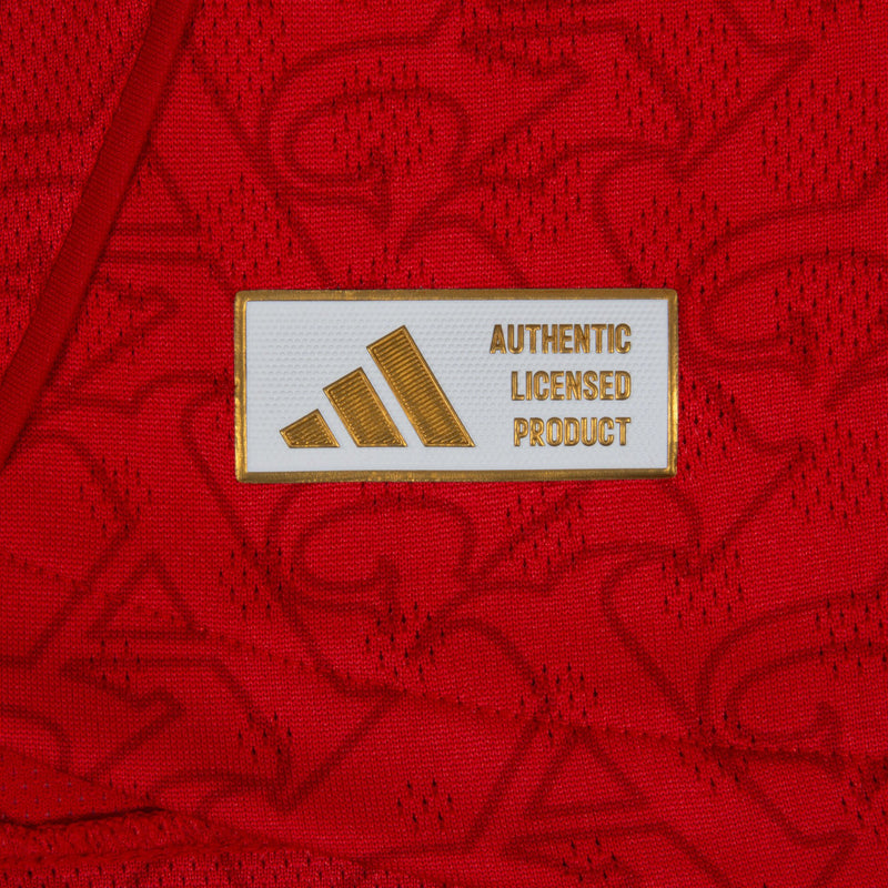 Manga Longa Arsenal Home 2025/26