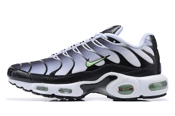 Air Max Plus Tn 1 “Seafoan”