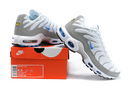 Air Max Plus Tn 1 “Ice Metalic”